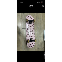 그리즐리 스케이트보드
